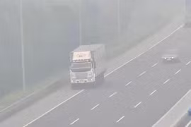 Xử lý nghiêm tài xế lùi xe trên cao tốc Hà Nội - Quảng Ninh