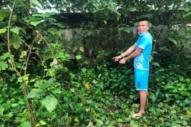 Xem khoảnh khắc 'siêu trộm' thổi bay 350 cây vàng trong đêm