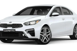 Truy tìm chủ nhân xe ô tô bí ẩn trong vụ buôn pháo cấm