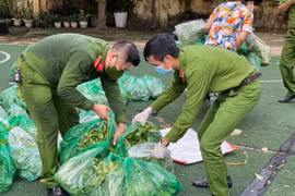 Những giọt mồ hôi giữa nắng hè, chia sẻ yêu thương, ấm lòng mùa dịch