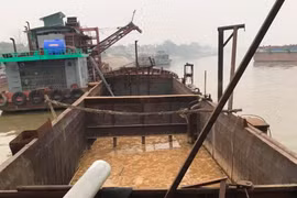 Thêm tàu “khủng” khai thác cát trái phép trên sông Hồng bị phát hiện lúc rạng sáng