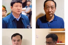 Khởi tố 4 bị can về tội “Vi phạm quy định về quản lý, sử dụng tài sản Nhà nước gây thất thoát, lãng phí”