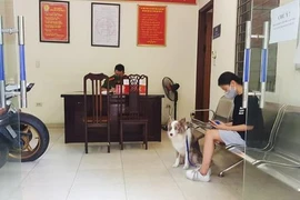 Phạt 2 triệu đồng cô gái dắt thú cưng đi dạo trong ngày giãn cách xã hội
