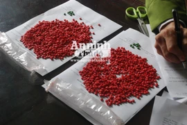 Mang 1.800 viên ma túy tổng hợp đi đổ buôn