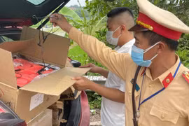 Lái xe sử dụng giấy đi đường không đúng quy định, vượt chốt kiểm dịch Covid-19 