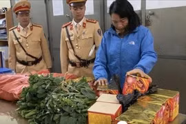 Nhồi nhét gần 15kg pháo trên xe khách để tiêu thụ dịp Tết