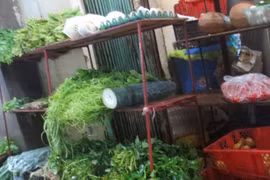 Viện cớ mưa bão, giá rau, củ, quả tăng cao 