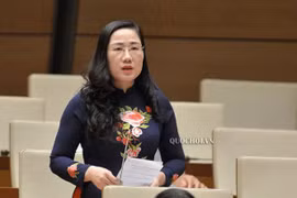 Đại biểu Quốc hội: Ở "vùng đỏ" nếu không cho phép tạm đình chỉ điều tra thì không thể tiến hành biện pháp nghiệp vụ