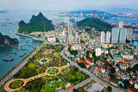 Luật sư nói gì về Công văn 7217 của Quảng Ninh về phòng chống dịch?