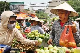Đào Trung Quốc "gắn mác" đào Sa Pa đổ về Hà Nội
