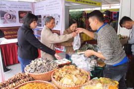 170 doanh nghiệp tham gia Hội chợ Vàng khuyến mại Hà Nội