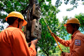 Truy vấn thông tin về điện qua tin nhắn