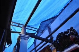 Phá đình làng lấy gỗ sưa bán hơn 1 tỷ đồng