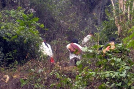 Bắt khẩn cấp 3 đối tượng đưa người vượt biên trái phép