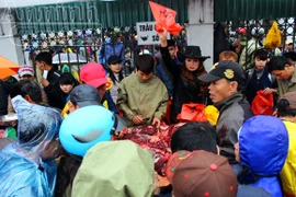 Lễ hội chọi trâu hay "Lễ hội thịt trâu"?