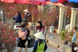 Ngoài phố, hoa đang gọi Tết ùa về