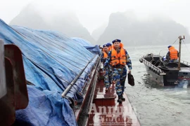 900 tấn “vàng đen” lênh đênh trên biển đã bị bắt giữ