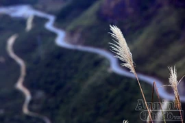 Hoài niệm về những con đèo Tây Bắc