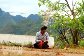 Bài 1: Bản tráng ca vang từ Pha Đin về thành phố hoa ban