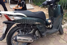 Đeo biển tứ quý 8, “xe sang” bị phát hiện là “hàng” trộm cắp