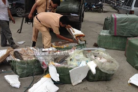 Cá trắm “bự” chết thối vẫn xuất cho nhà hàng