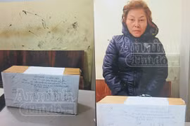 “Nữ quái” sơn cước giấu 9 bánh heroin trong hai hộp chè