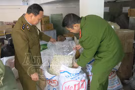 Phát khóc với… hạt dẻ cười, ô mai mốc trắng