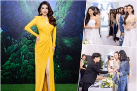 Trương Ngọc Ánh rạng rỡ bên dàn thí sinh trong ngày casting "Miss Earth Việt Nam 2023"