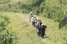 Bùi Công Nam tiết lộ về ca khúc "tiên tri" cho "Gia đình Haha" 