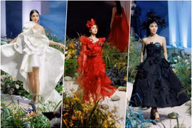 Thí sinh Miss Earth Việt Nam “lột xác” trên sàn diễn trong BST của Đỗ Mạnh Cường 