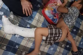 Khai trừ 2 cá nhân là cần thiết, thể hiện kỷ luật nghiêm minh của Đảng