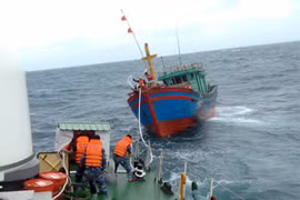 Cảnh sát biển cứu tàu cá gặp nạn trong mưa bão