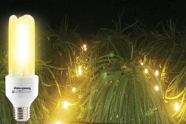 Đẩy mạnh phát triển thanh long theo tiêu chuẩn VietGap 