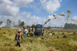 Đau đáu với đời sống người nông dân