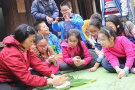 Nhiều hoạt động vui chơi đón Tết tại Bảo tàng Dân tộc học Việt Nam