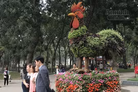 12 con giáp "khủng" trong công viên Thống Nhất ra hoa rực rỡ