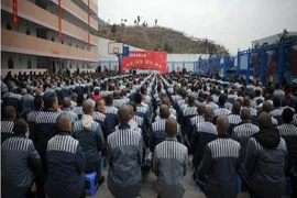 Trung Quốc cam kết ngừng sử dụng nội tạng tử tù để cấy ghép