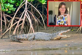 Tìm thấy nhiều phần thi thể nữ du khách xấu số trong bụng cá sấu 4,3m