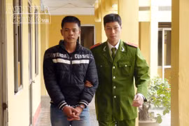 Bao thuốc lá chứa má túy giấu dưới gốc đa