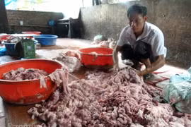 Hãi hùng cảnh chế biến mỡ, bì lợn siêu bẩn