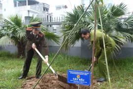Hào hứng "Ngày thứ bảy tình nguyện"