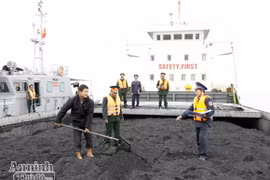 Cảnh sát biển bắt giữ tàu chở 3.000 tấn than không rõ nguồn gốc