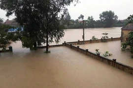 Chủ động ứng phó với mưa lũ tại miền Trung và bão Sarika