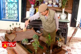 Độc đáo mô hình đình làng bằng gỗ siêu nhỏ