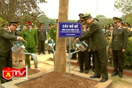 Thực hiện chương trình trồng 1 tỷ cây xanh thành phong trào thường xuyên trong CAND