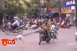 Kiểm tra, xử lý xe tự chế chở hàng cồng kềnh gây nguy hiểm