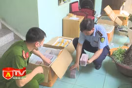 Tạm giữ hơn 5000 điện thoại di động và linh, phụ kiện có dấu hiệu nhập lậu