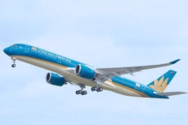 Máy bay Vietnam Airlines không được hạ cánh vì tổ bay chưa được huấn luyện ứng phó thời tiết xấu