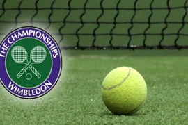 10 khám phá thú vị về loạt trận bán kết đơn nữ Wimbledon 2014
