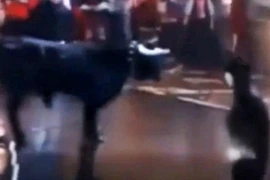 Hóa trang thành Batman khiêu khích “bò điên”, sao Real bị phạt nặng